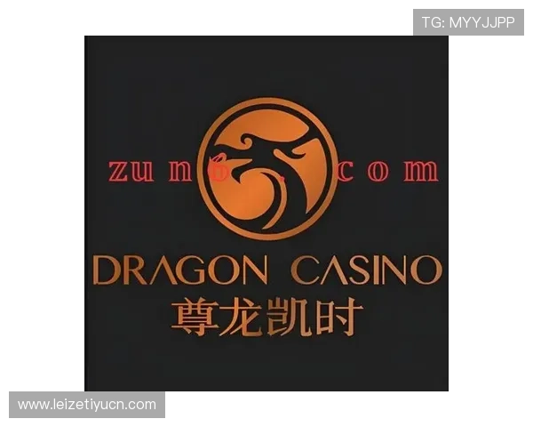 尊龙凯时app官网最新版本下载安装指南与安全保障措施详解