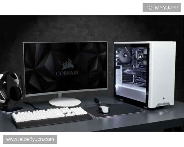 全面解析电竞登录流程及常见问题解决方案助你顺利开启电竞之旅